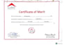 l perform professional web application penetration testing
